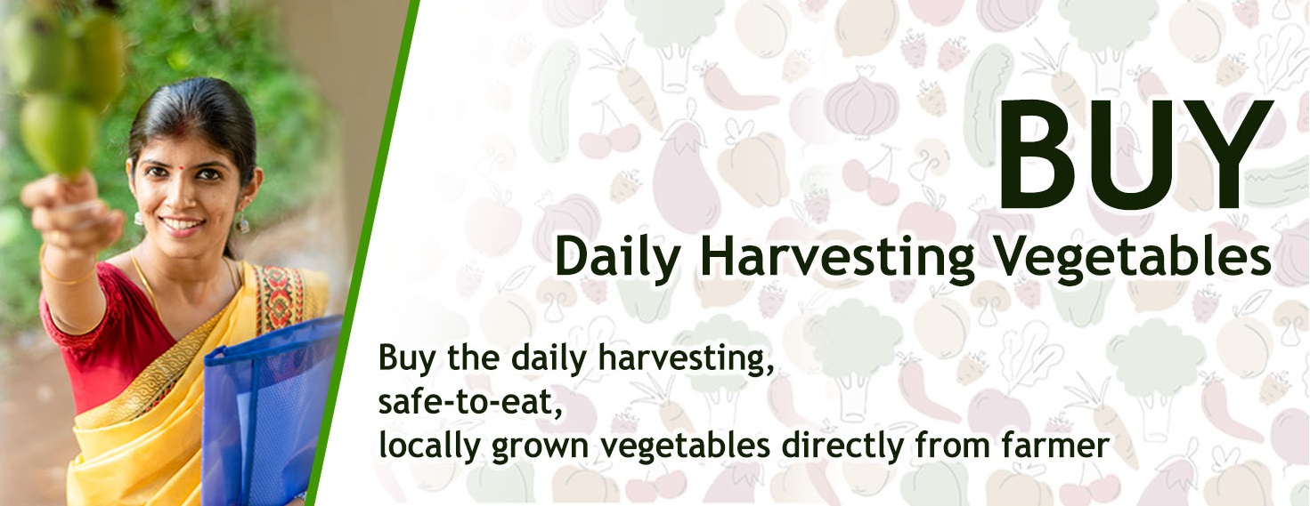 Freshest vegetables Kochi